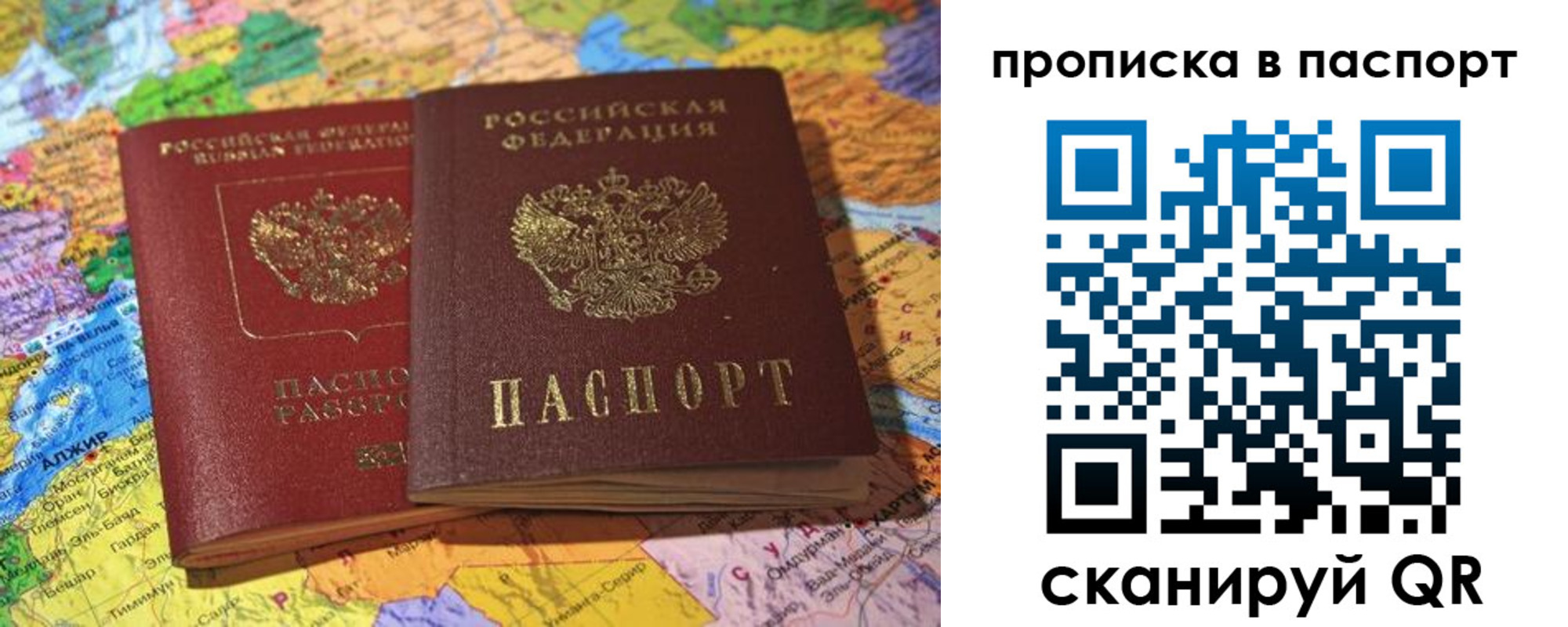 прописка гарантия в Чкаловске